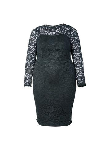 Dorothy Perkins *dp Curve Black Lace Fitted Dress