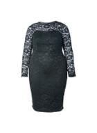 Dorothy Perkins *dp Curve Black Lace Fitted Dress