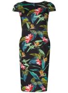 Dorothy Perkins Petite Black Tropical Print Scuba Dress