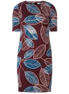 Dorothy Perkins *lily & France Multi Coloured Leaf Print Shift Dress