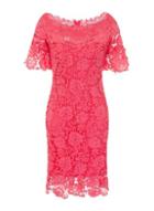 Dorothy Perkins *paper Dolls Coral Lace Bardot Bodycon Dress