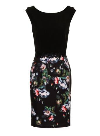 Dorothy Perkins Bloom Contrast Dress
