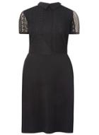 Dorothy Perkins *dp Curve Black Lace Collared Dress