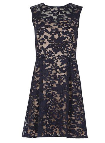 Dorothy Perkins *mela Navy Embossed Skater Dress