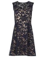 Dorothy Perkins *mela Navy Embossed Skater Dress