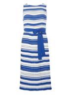 Dorothy Perkins Cobalt And Ivory Striped Pleated Fit & Flare Dress