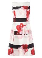 Dorothy Perkins *luxe Multi Coloured Floral Print Prom Dress