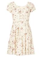 Dorothy Perkins *tenki Cream Floral Print Skater Dress