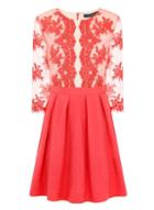Dorothy Perkins *little Mistress Coral Lace Fit/flare Dress