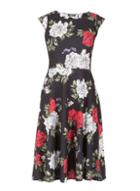 Dorothy Perkins *feverfish Black Rose Print Skater Dress