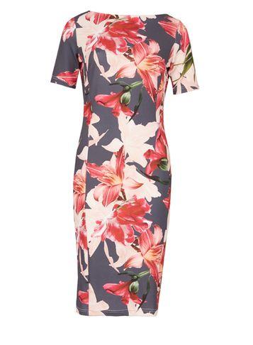 Dorothy Perkins *feverfish Black Printed Bodycon Dress