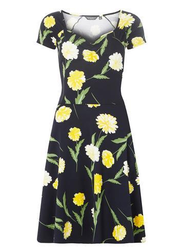 Dorothy Perkins *tall Navy Floral Sweetheart Neck Skater Dress
