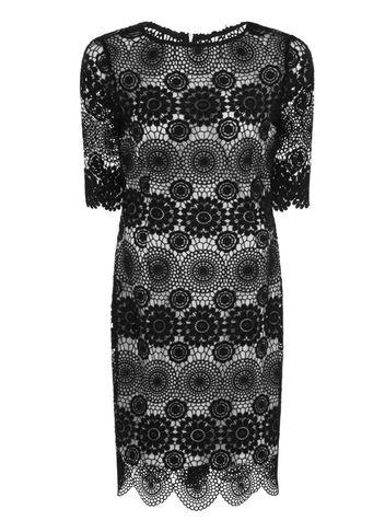 Dorothy Perkins *paper Dolls Navy Crochet Lace Sleeve Dress