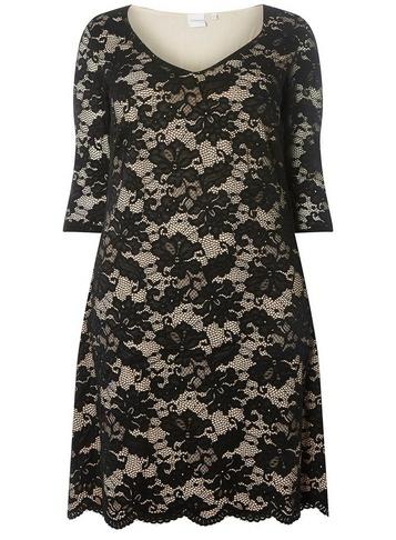 *juna Rose Curve Black Lace Dress