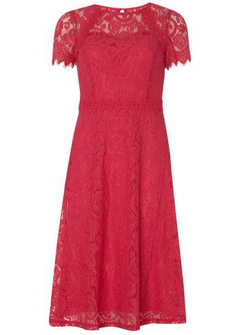 Dorothy Perkins *tall Pink Lace Fit And Flare Dress