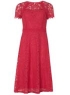 Dorothy Perkins *tall Pink Lace Fit And Flare Dress