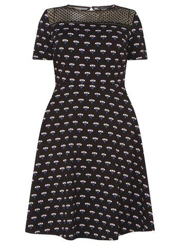 Dorothy Perkins Dp Curve Black Floral Mesh Yoke Dress