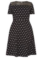 Dorothy Perkins Dp Curve Black Floral Mesh Yoke Dress