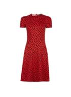 Dorothy Perkins Red Ruffle Neck Fit And Flare Dress