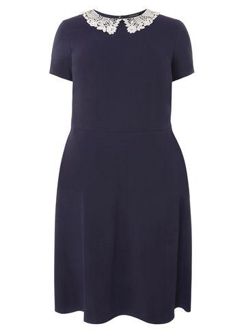 Dorothy Perkins Dp Curve Navy Lace Collar Fit And Flare Dress