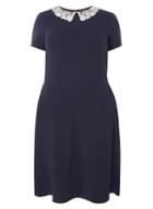 Dorothy Perkins Dp Curve Navy Lace Collar Fit And Flare Dress