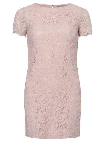 Dorothy Perkins Petite Blush Lace Shift Dress