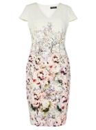 Dorothy Perkins Floral Printed Pencil Dress