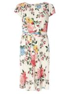 Dorothy Perkins *billie & Blossom Petite Multi Coloured Floral Print Dress