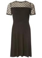 Dorothy Perkins Black Spot Mesh Jersey Fit And Flare Dress