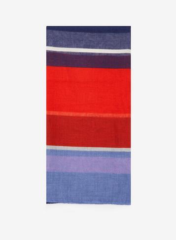 Dorothy Perkins Multi Coloured Bright Stripe Scarf