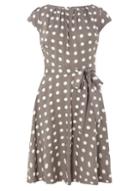 Dorothy Perkins *billie & Blossom Grey Spot Viscose Skater Dress