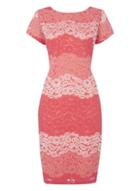 *roman Originals Coral Stripe Lace Dress