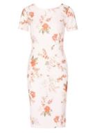 Dorothy Perkins *feverfish White Flower Print Bodycon Dress
