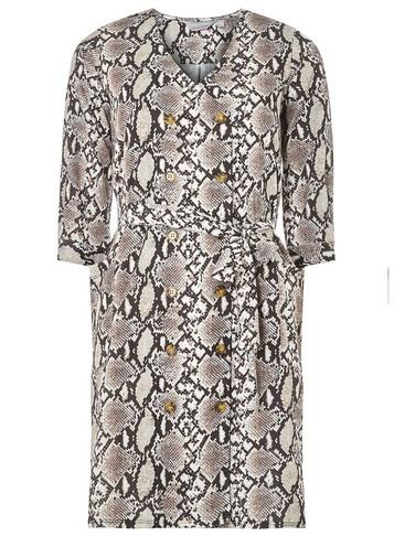 Dorothy Perkins Petite Snake Print Shirt Dress