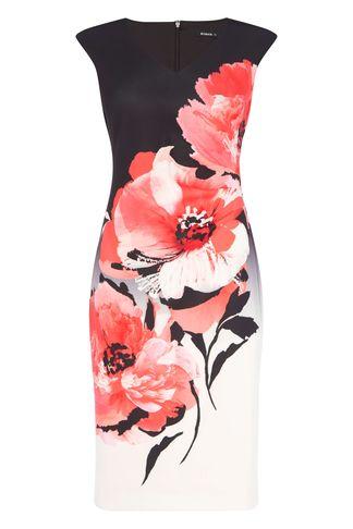 Dorothy Perkins *roman Originals Red Floral Print Bodycon Dress