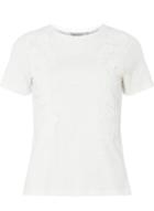 Dorothy Perkins Petite Ivory Lace Trim T-shirt