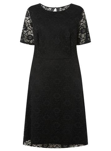 Dorothy Perkins *dp Curve Black Short Sleeve Lace Fit And Flare Dress