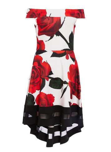 Dorothy Perkins *quiz Rose Print Bardot Dress
