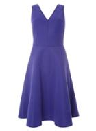 Dorothy Perkins *tall Purple Fit And Flare Dress