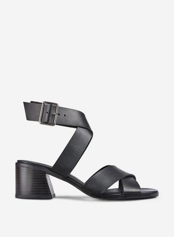 Dorothy Perkins Black Sara Buckle Sandals