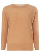 Dorothy Perkins Petites Camel Batwing Jumper