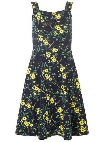 Dorothy Perkins *tall Navy Floral Ruffle Skater Dress