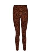 Dorothy Perkins Toffee Animal Print Skinny Trousers
