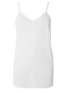 Dorothy Perkins *dp Curve White Basic Layering Camisole Top