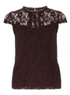 Dorothy Perkins Raisin Lace Front Victoriana Top