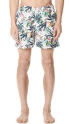 Bather Jungle Tropics Swim Trunks