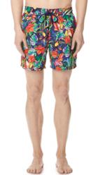 Polo Ralph Lauren Toucan Floral Explorer Trunks