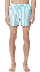 Nikben Eyes Cream Trunks