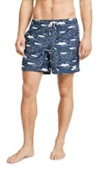 Bather Motorboats Trunks