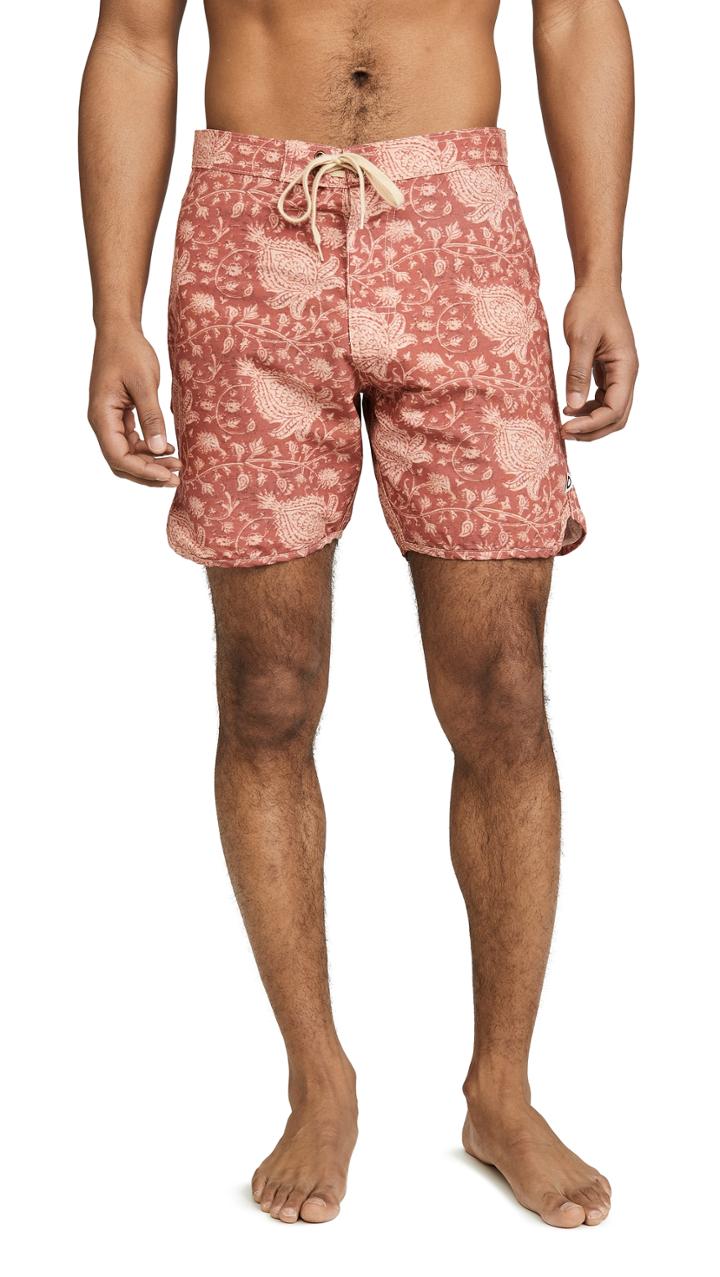 Mollusk Scallop Trunks